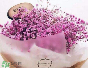 母親節(jié)可以送滿天星嗎？母親節(jié)能送滿天星嗎？