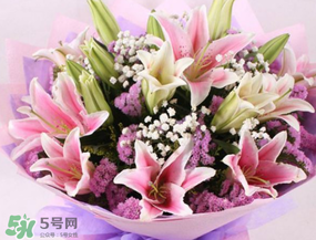 百合花多少錢一支2017？百合花多少錢一束2017？