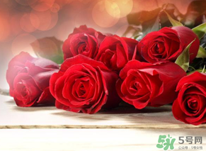 母親節(jié)送什么顏色的玫瑰花？母親節(jié)送幾朵玫瑰花？