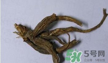 土瓜根是什么？土瓜根粉哪里有賣的？