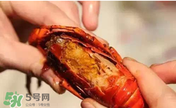 周黑鴨小龍蝦怎么吃？周黑鴨小龍蝦怎么吃圖解？