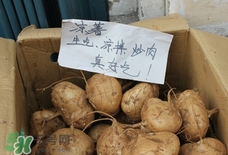 涼薯怎么做好吃？涼薯怎么炒好吃
