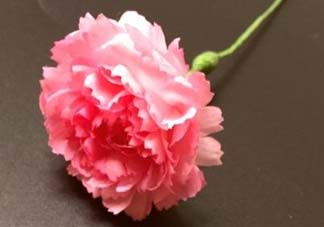 母親節(jié)可以送紙做的康乃馨嗎？康乃馨怎么折？