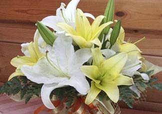 百合花多少錢一支2017？百合花多少錢一束2017？