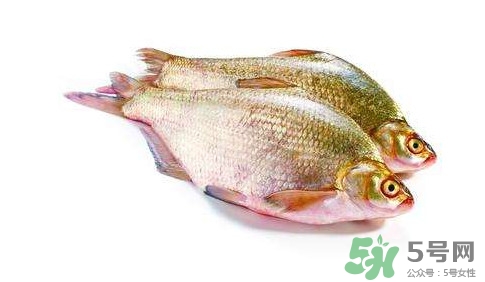 鳊魚(yú)怎么做好吃？鳊魚(yú)怎么燒好吃