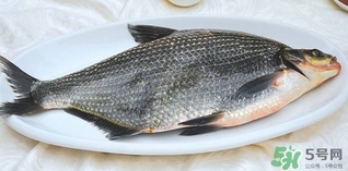 鳊魚(yú)怎么做好吃？鳊魚(yú)怎么燒好吃