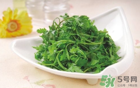 菊花腦孕婦能吃嗎？孕婦可以吃菊花腦嗎