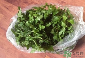 菊花腦怎么做好吃？菊花腦怎么做有營(yíng)養(yǎng)