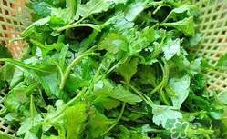 菊花腦怎么做好吃？菊花腦怎么做有營(yíng)養(yǎng)