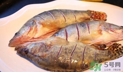 鱖魚是桂魚嗎？鱖魚和桂魚的區(qū)別