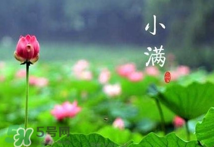 2017小滿是幾月幾日？小滿節(jié)氣養(yǎng)生