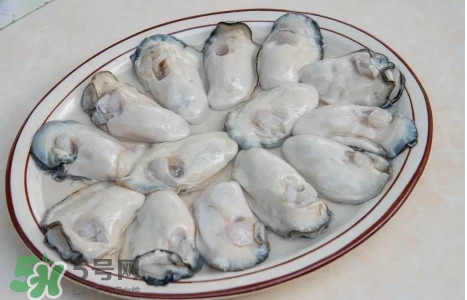 生蠔怎么做好吃？生蠔怎么吃圖解