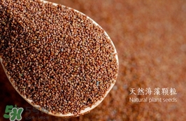 海藻面膜要泡多久最好？海藻面膜要泡多長(zhǎng)時(shí)間？