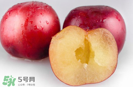 李子可以和西紅柿一起吃嗎？西紅柿和李子能同吃？