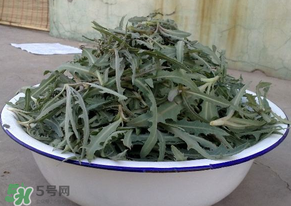 苦苦菜怎么腌制？怎樣腌制苦苦菜？
