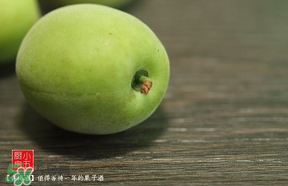 青梅可以直接吃嗎？剛摘下的青梅可以直接吃嗎?？