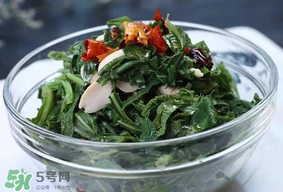 苦菜怎么保存？苦菜怎么保存時(shí)間長？