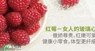 刺泡的熱量 刺泡可以減肥嗎？