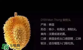 金枕頭和貓山王哪個好？金枕頭和貓山王的區(qū)別