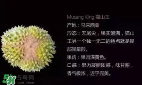 金枕頭和貓山王哪個好？金枕頭和貓山王的區(qū)別