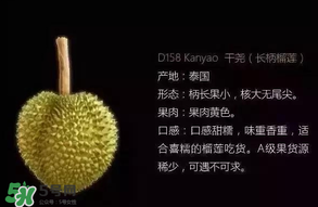 金枕頭和貓山王哪個好？金枕頭和貓山王的區(qū)別