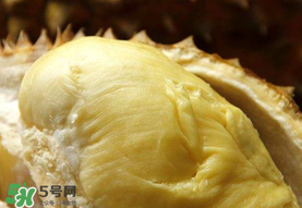金枕頭榴蓮幾月份上市？金枕頭榴蓮什么時候上市？