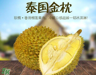 金枕頭榴蓮怎么才算熟？金枕頭榴蓮怎么催熟？