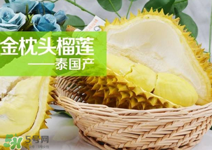 金枕頭榴蓮怎么才算熟？金枕頭榴蓮怎么催熟？