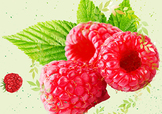 刺泡的熱量 刺泡可以減肥嗎？