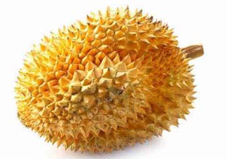 金枕頭和貓山王哪個(gè)好？金枕頭和貓山王的區(qū)別