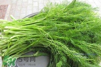 茴香菜是酸性還是堿性？什么人不能吃茴香菜