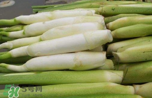 茭白是筍嗎？茭白是高筍嗎