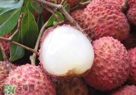 吃荔枝被酒駕怎么辦？吃荔枝酒駕是真的嗎？