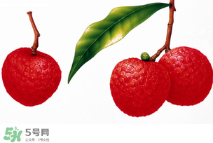 拉肚子能吃荔枝嗎 ？拉肚子可以吃荔枝嗎 ？