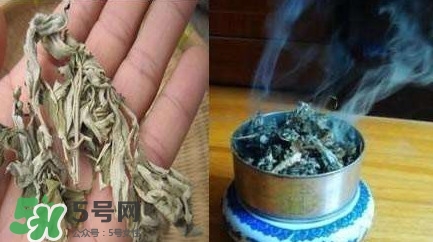 艾葉可以驅(qū)蚊子嗎？艾葉能驅(qū)蚊子嗎