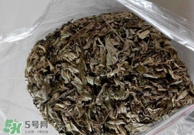 艾葉枕頭孕婦可以用嗎？艾葉枕頭小孩可以用嗎