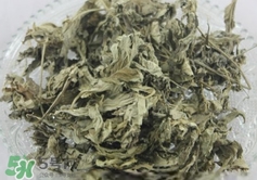 艾葉怎么做枕頭？自制艾葉怎么做枕頭