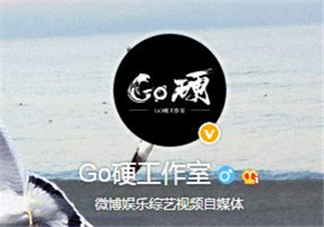 go硬工作室和卓偉有什么關系？go硬工作室是卓偉前員工成立的？