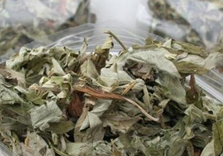 艾葉怎么做枕頭？自制艾葉怎么做枕頭