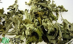 艾葉可以驅(qū)蚊子嗎？艾葉能驅(qū)蚊子嗎