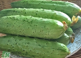 黃瓜敷臉可以美白嗎？黃瓜敷臉美白效果好嗎？