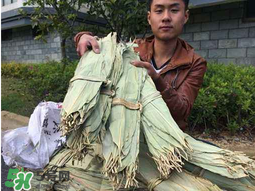 干粽葉怎么煮？干粽葉煮多久？