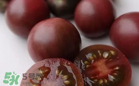 黑番茄是轉基因嗎？黑番茄是轉基因食品嗎