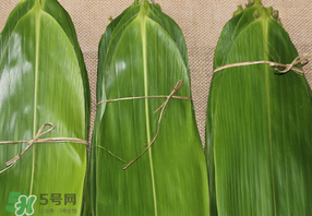 干粽葉要煮嗎？干粽葉到底是泡好還是煮好？