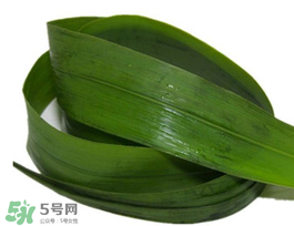 粽葉有幾種？粽葉哪種好？