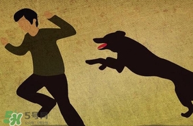 狂犬病疫苗什么時(shí)候打？狂犬病潛伏期最長多久