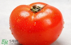 西紅柿能放冰箱冷藏嗎？西紅柿可以放冰箱保鮮嗎