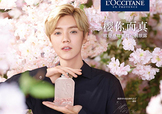 鹿晗代言了歐舒丹嗎？歐舒丹的代言人是鹿晗嗎？
