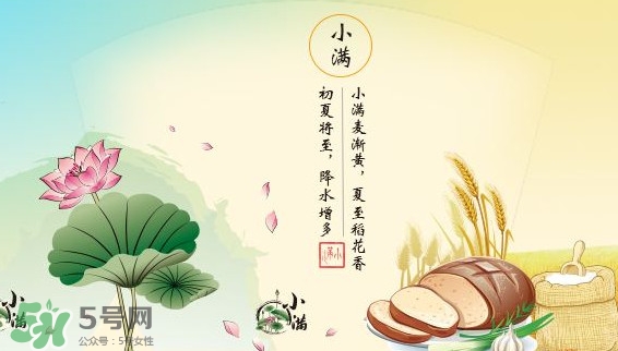 節(jié)氣小滿大滿是什么意思？24節(jié)氣為什么沒有大滿