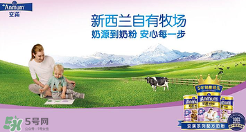 安滿滿睿幼兒配方奶粉怎么樣？安滿滿睿奶粉怎么沖？